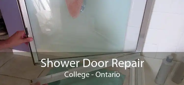 Shower Door Repair College - Ontario