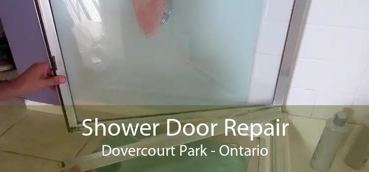 Shower Door Repair Dovercourt Park - Ontario