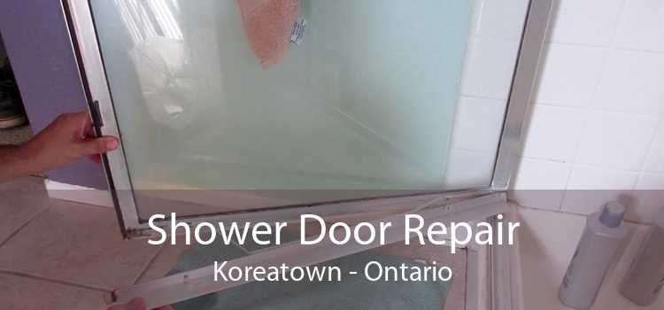 Shower Door Repair Koreatown - Ontario