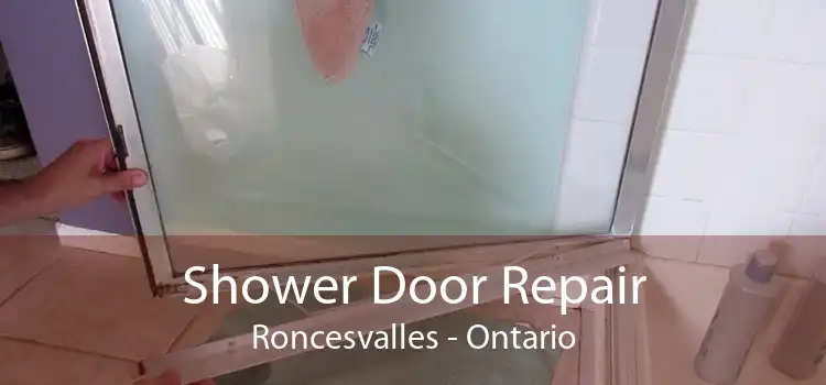 Shower Door Repair Roncesvalles - Ontario