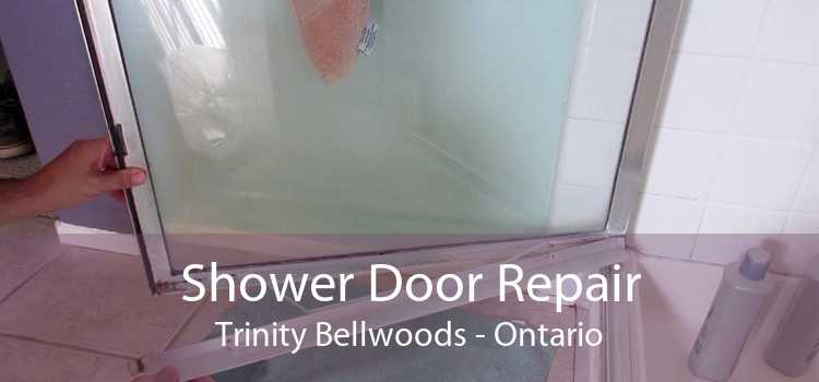 Shower Door Repair Trinity Bellwoods - Ontario