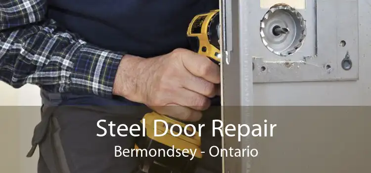 Steel Door Repair Bermondsey - Ontario