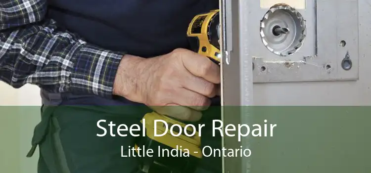 Steel Door Repair Little India - Ontario