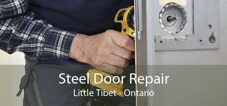 Steel Door Repair Little Tibet - Ontario