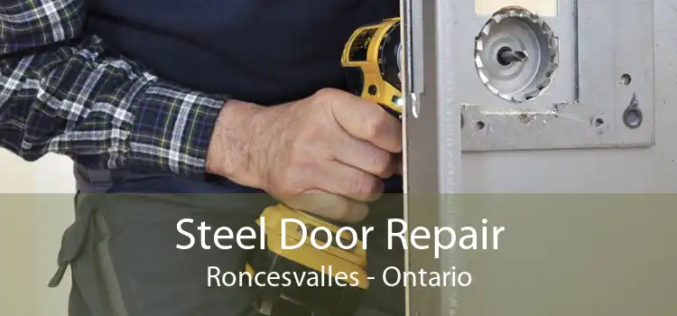 Steel Door Repair Roncesvalles - Ontario