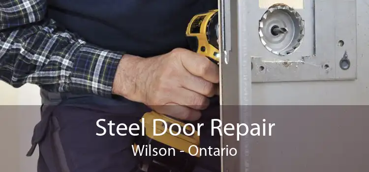 Steel Door Repair Wilson - Ontario