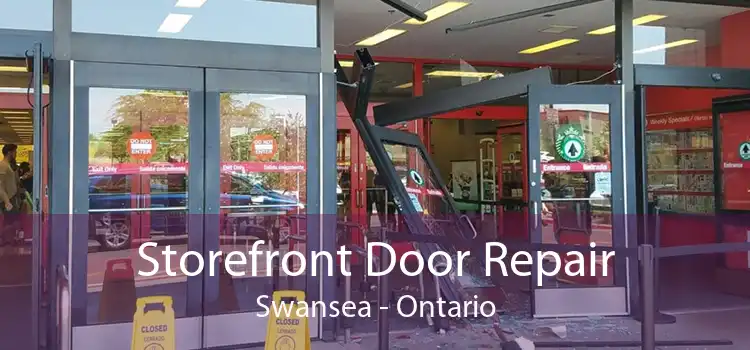 Storefront Door Repair Swansea - Ontario