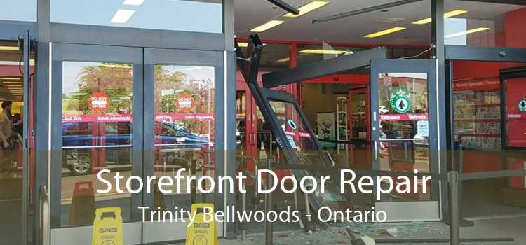 Storefront Door Repair Trinity Bellwoods - Ontario
