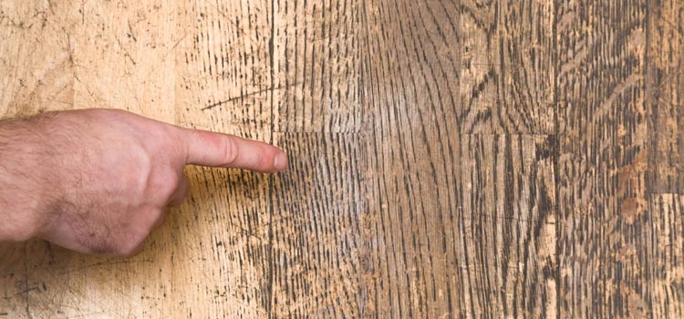 Wood Door Scratch Repair in Leslieville